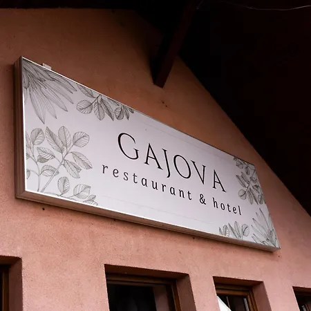 Gajova 2* Pobiedziska